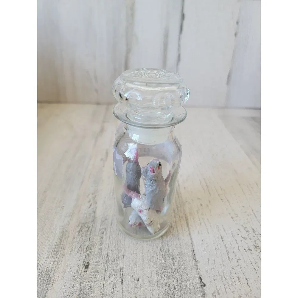 Witch potion ingredients pickled mice scary Halloween bottle prop‎ decor